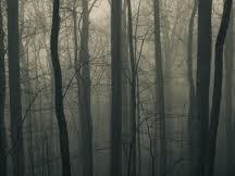 Image for the poem NightFallen Woods