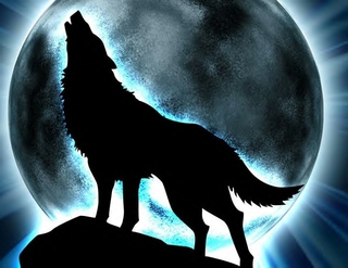 Image for the poem The Native Bear and The Outcast Wolf..