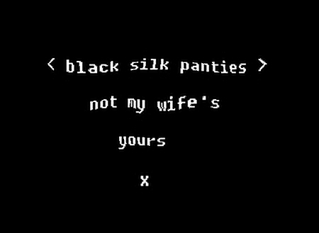 Visual Poem < black silk panties >
