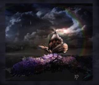 Image for the poem WHERE THE HELL ARE MY RAINBOWS AND BUTTERFLIES???