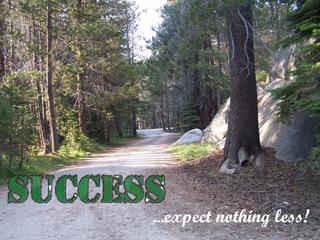 Image for the poem Journey to Success