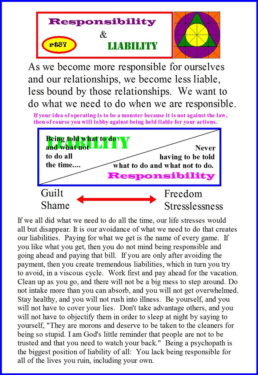 Visual Poem Responsibility and Liability
