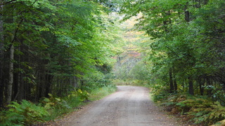 Image for the poem Hand in Hand.