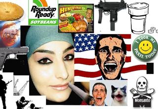 Image for the poem The World According to Nikkimoe ~ A "Disgruntled Muslim" Born In America