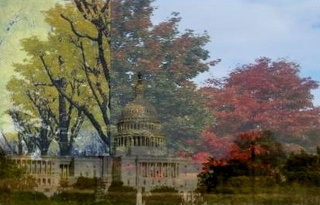 Image for the poem Fall in DC (in haiku)