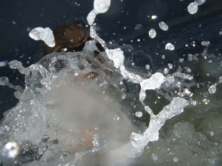Image for the poem Philos