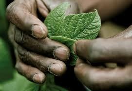 Image for the poem His Hands