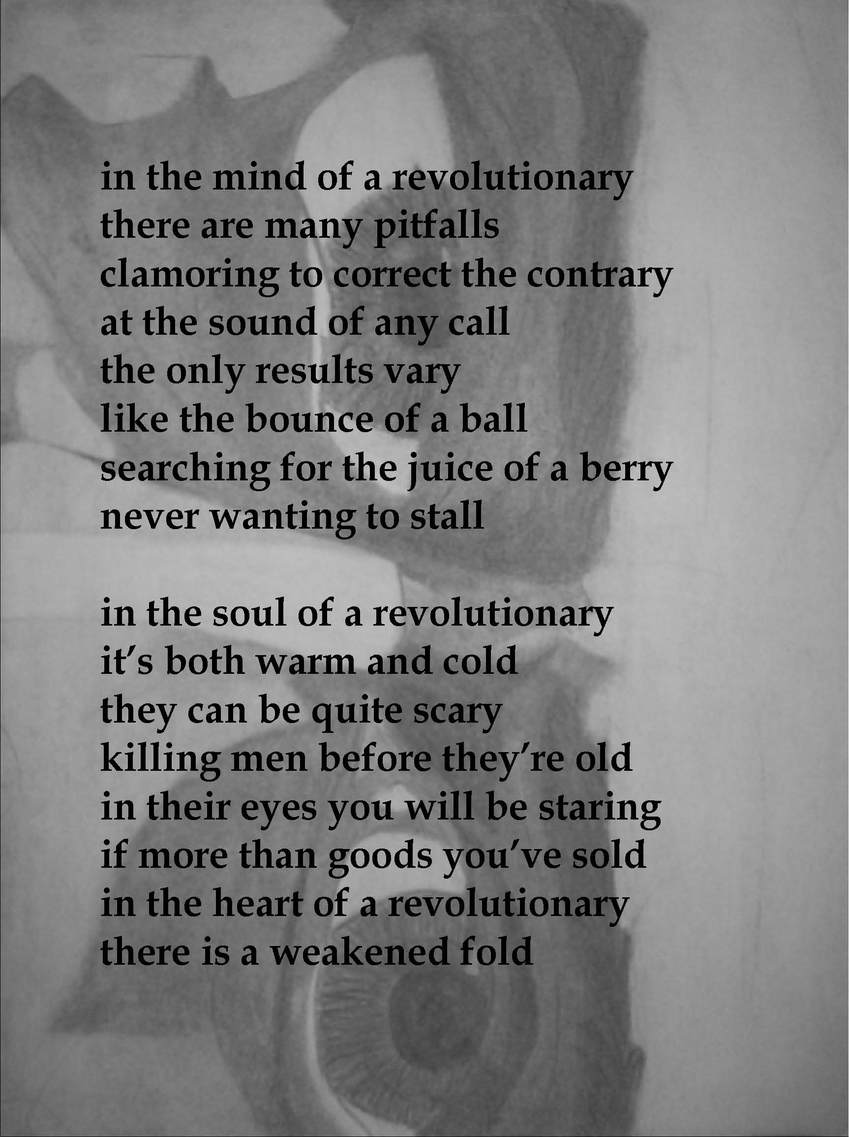 Visual Poem The Eyes of a Revolutionary