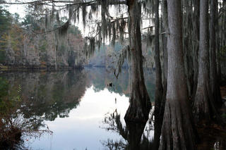 Image for the poem "Bayou Blues"