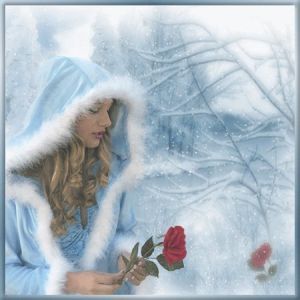 Image for the poem Christmas Rose