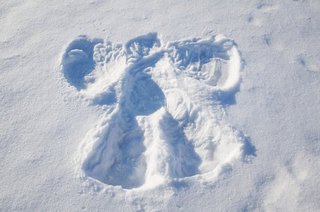 Image for the poem Snow Angels and Pale Lace