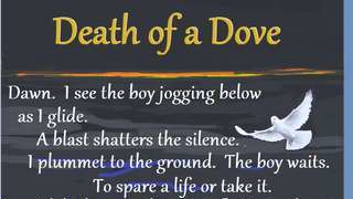 Death of a Dove