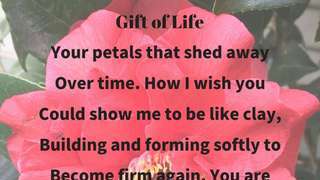 Gift of Life - Visual Poem