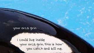YOUR ORCA GRIN