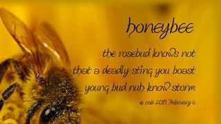 honeybee