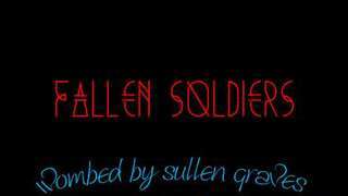 fallen soldiers