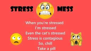 STRESS MESS