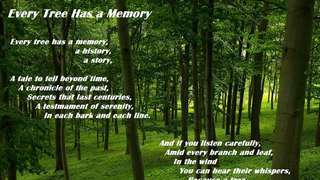 Every Tree Has a Memory