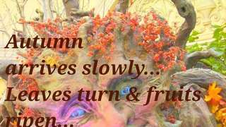 Quintain...Autumn... Haiga