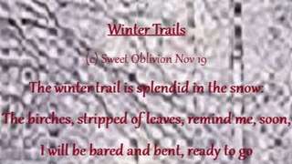 Winter Trails