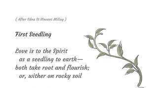 Seedlings 