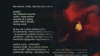 The Elusive~ Truth., That The Moon She Is..
