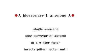 blossomary I: anemone 