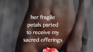 fragile petals 