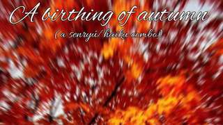 A birthing of autumn (a senry haiku combo) 