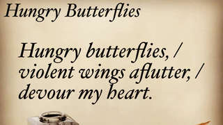 Hungry Butterflies 