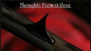 Thoughts From A Rose 