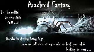 Arachnid Fantasy
