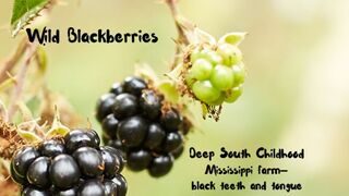 Wild Blackberries