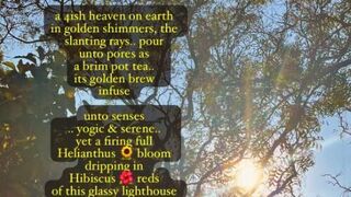 ~the 4ish sun ritual 